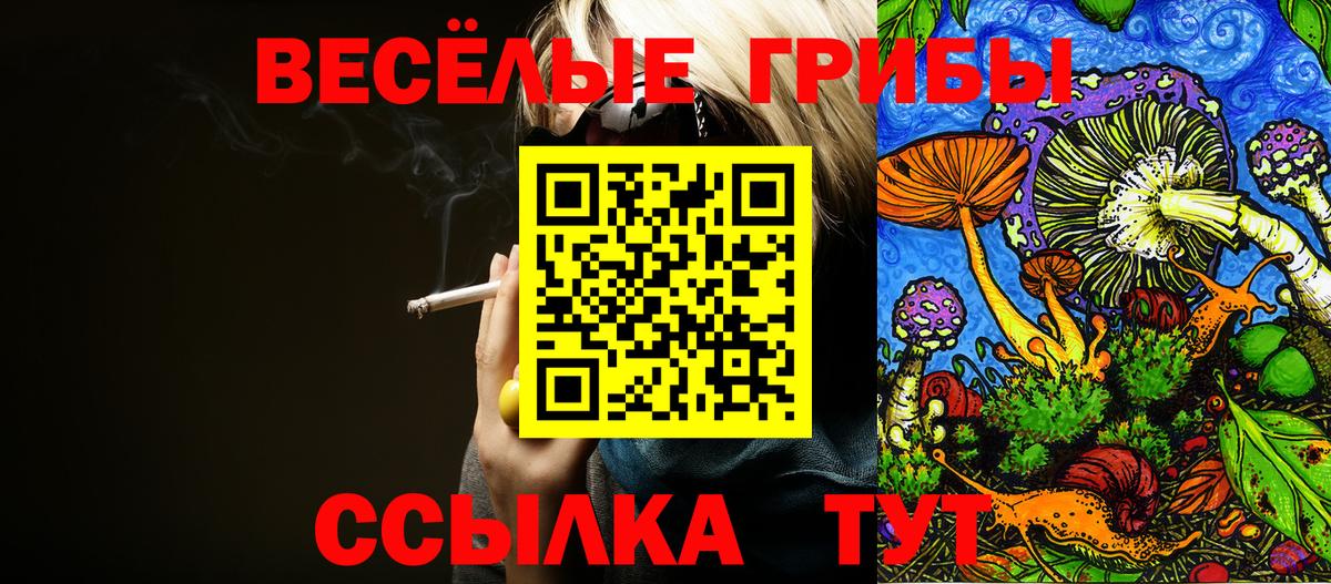 Псилоцибиновые грибы Psilocybe  Вход с VPN  Чита 