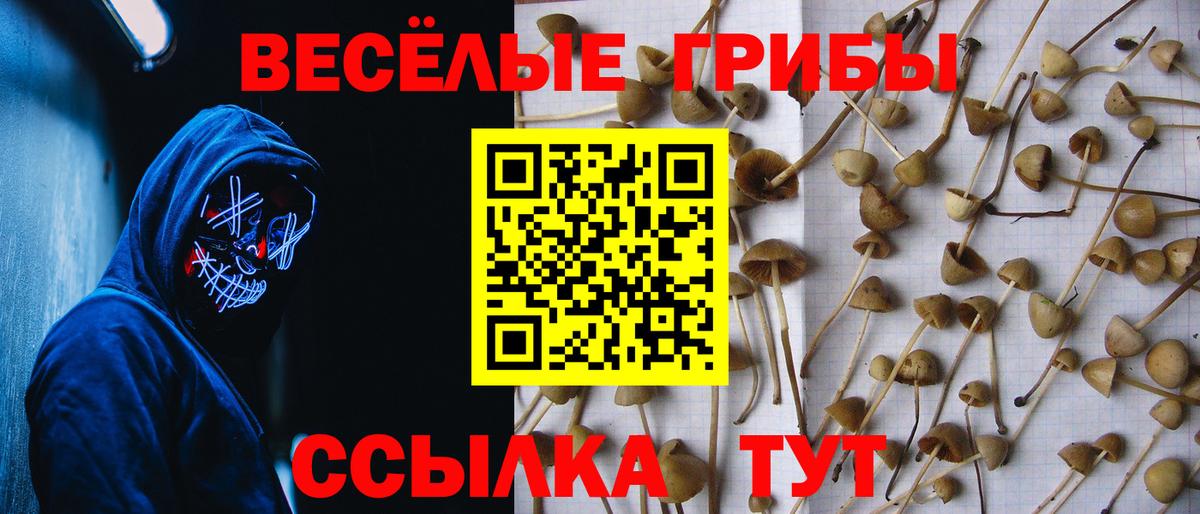 Галлюциногенные грибы Magic Shrooms Чита